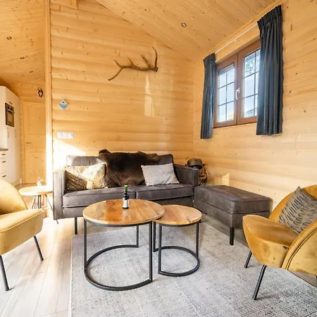 Chalet Wooden Near De Veluwe National Park Otterlo