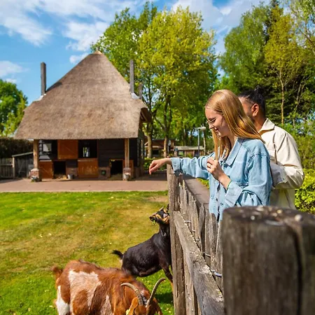 Chalet Wooden Near De Veluwe National Park