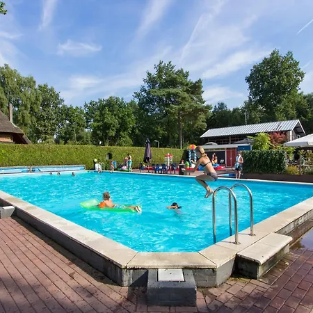 Chalet Wooden Near De Veluwe National Park